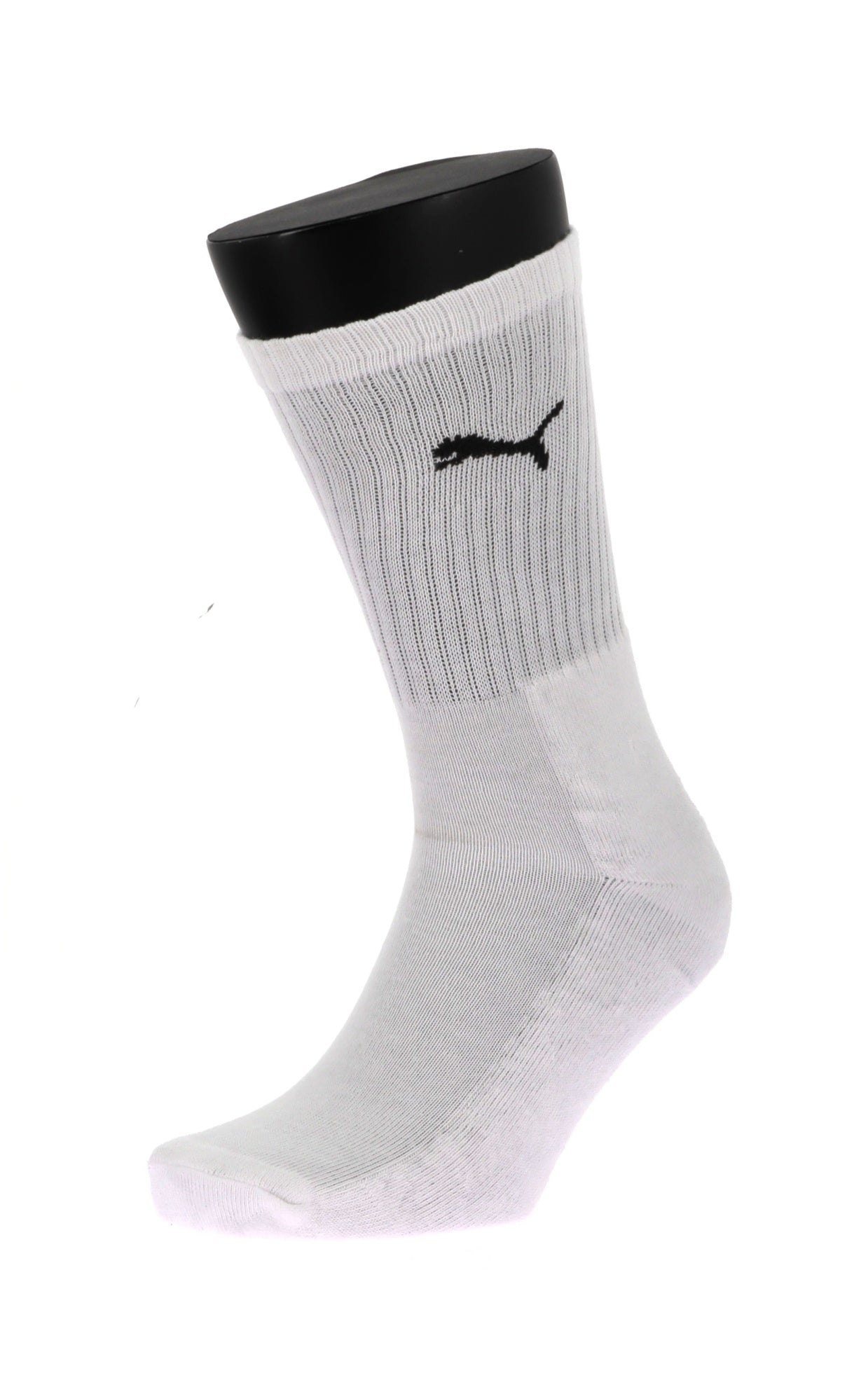 109752229849868_0000