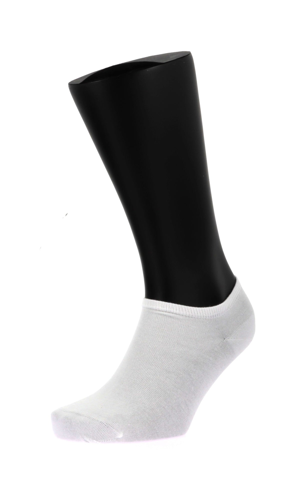 109763229849868_0000