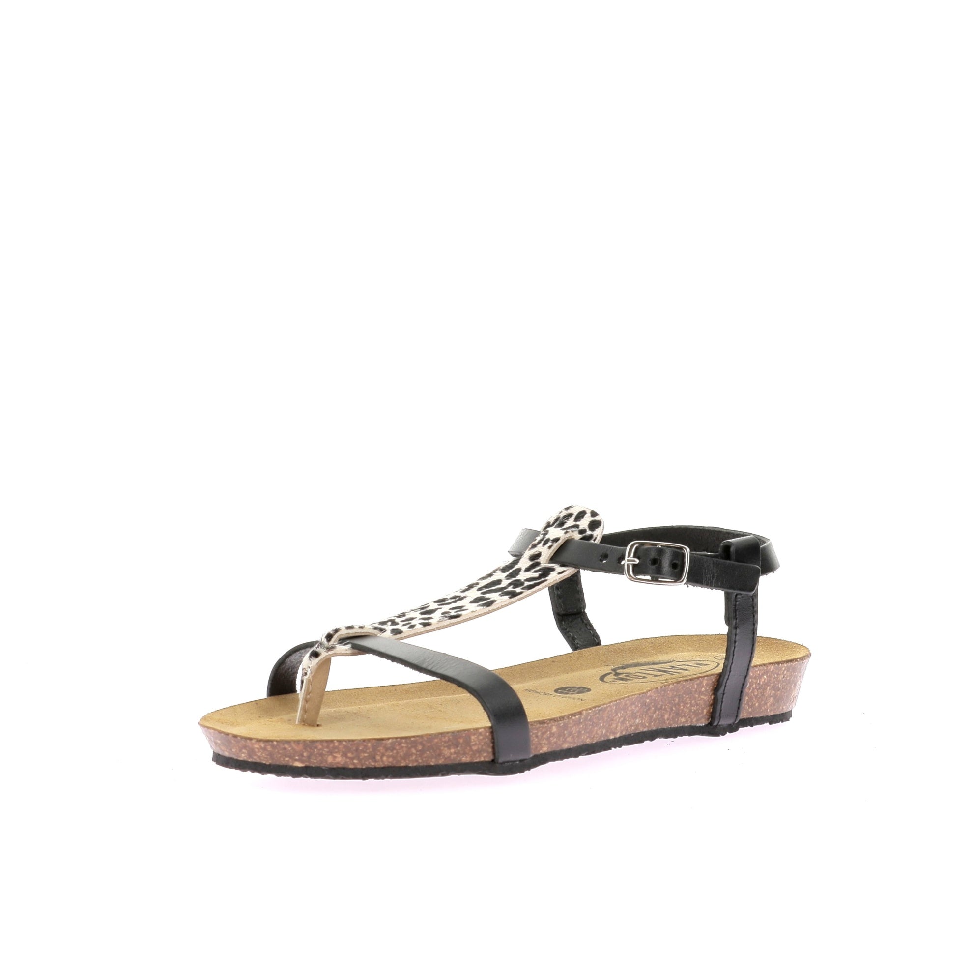 109911490793543_0001