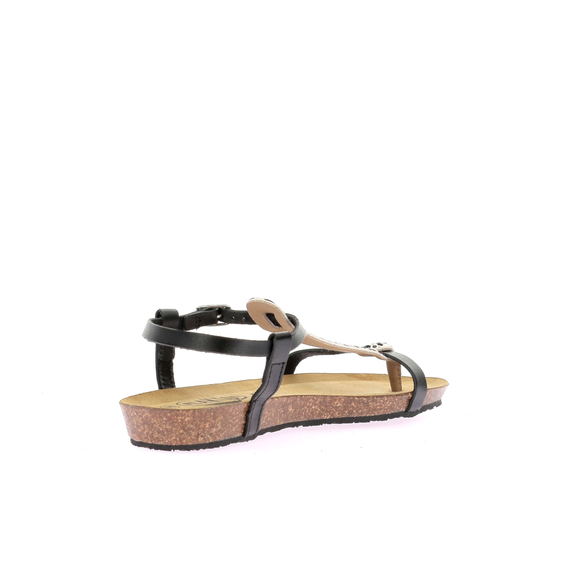 109911490793543_0003