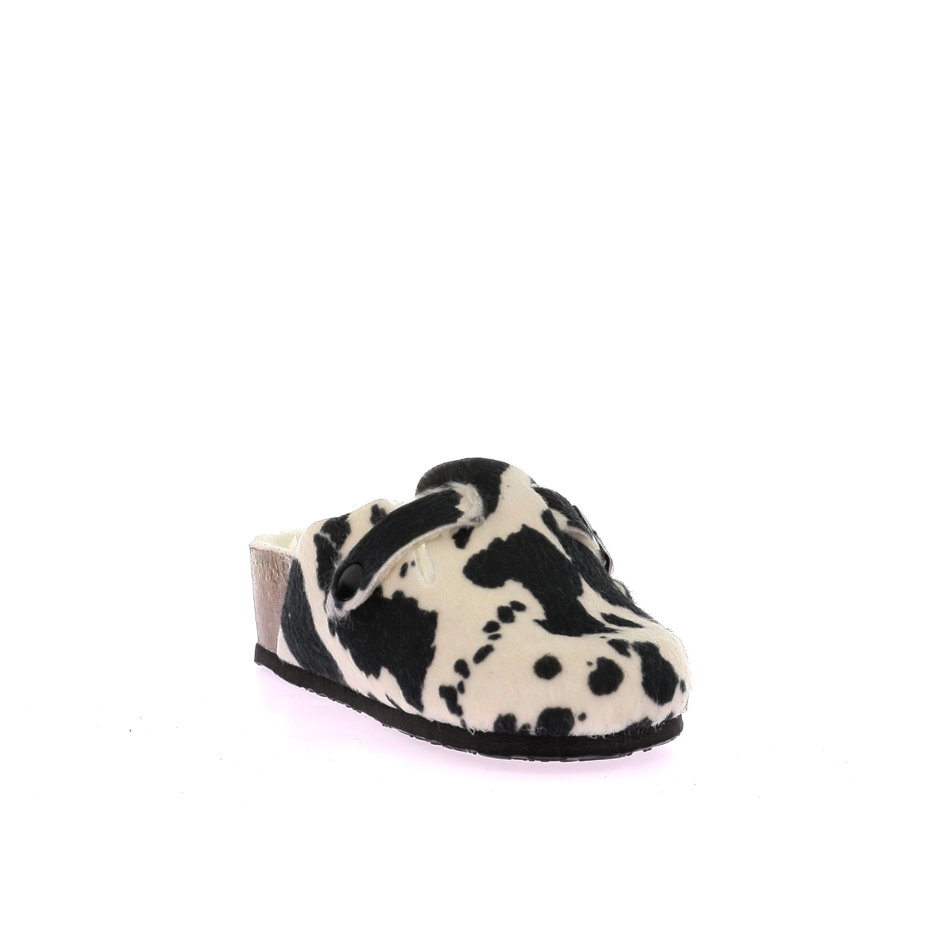 111924231698898_0002