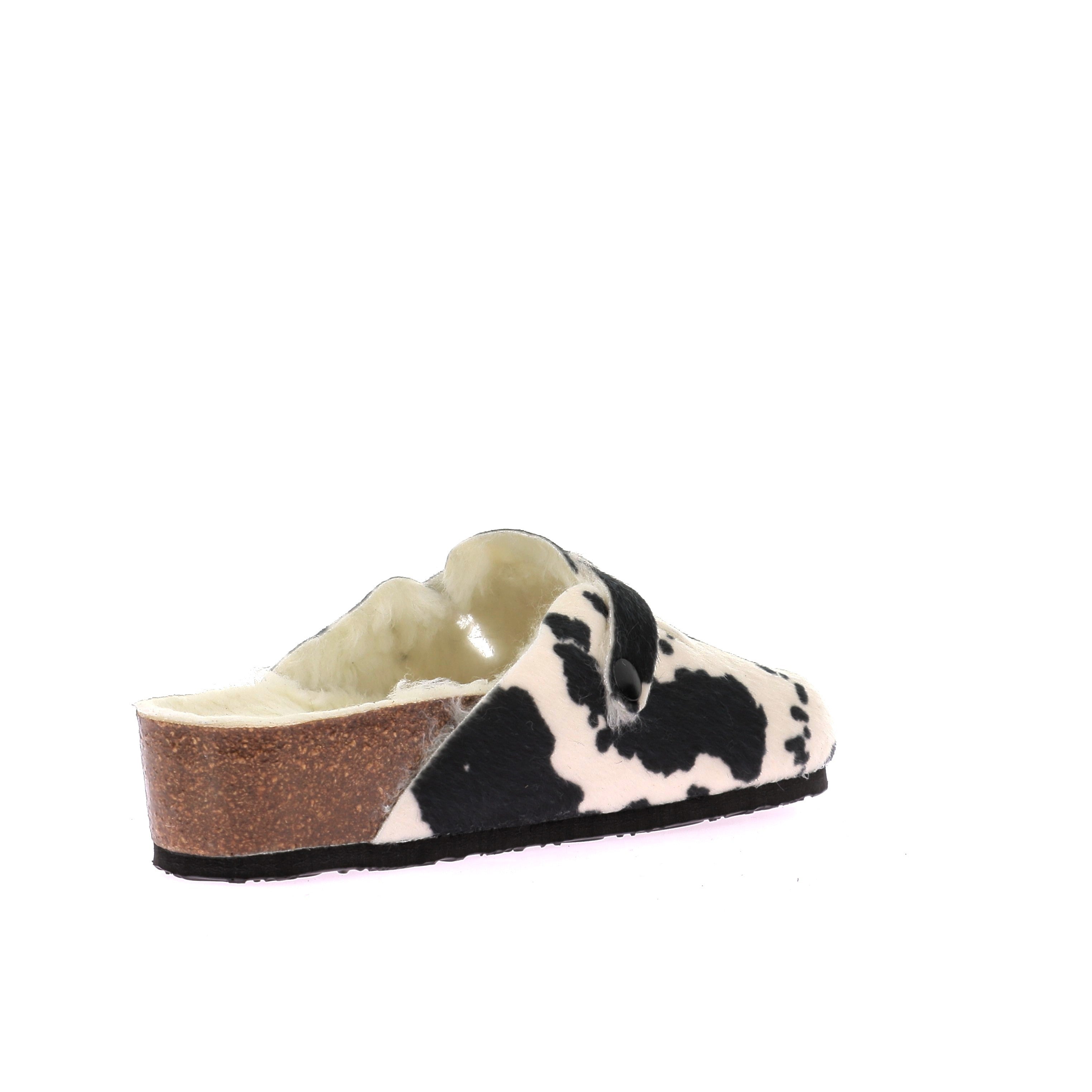 111924231698898_0003