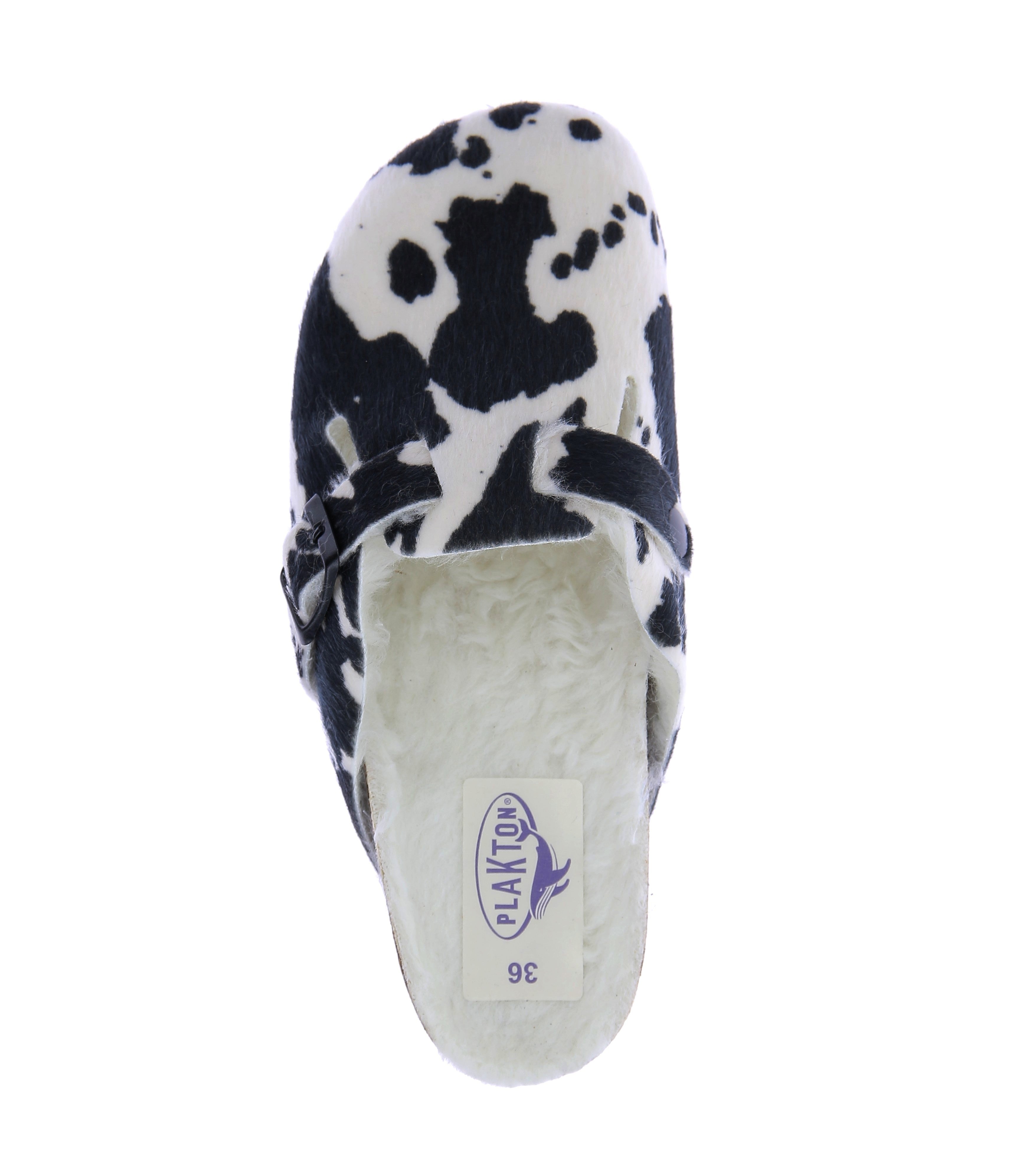 111924231698898_0004