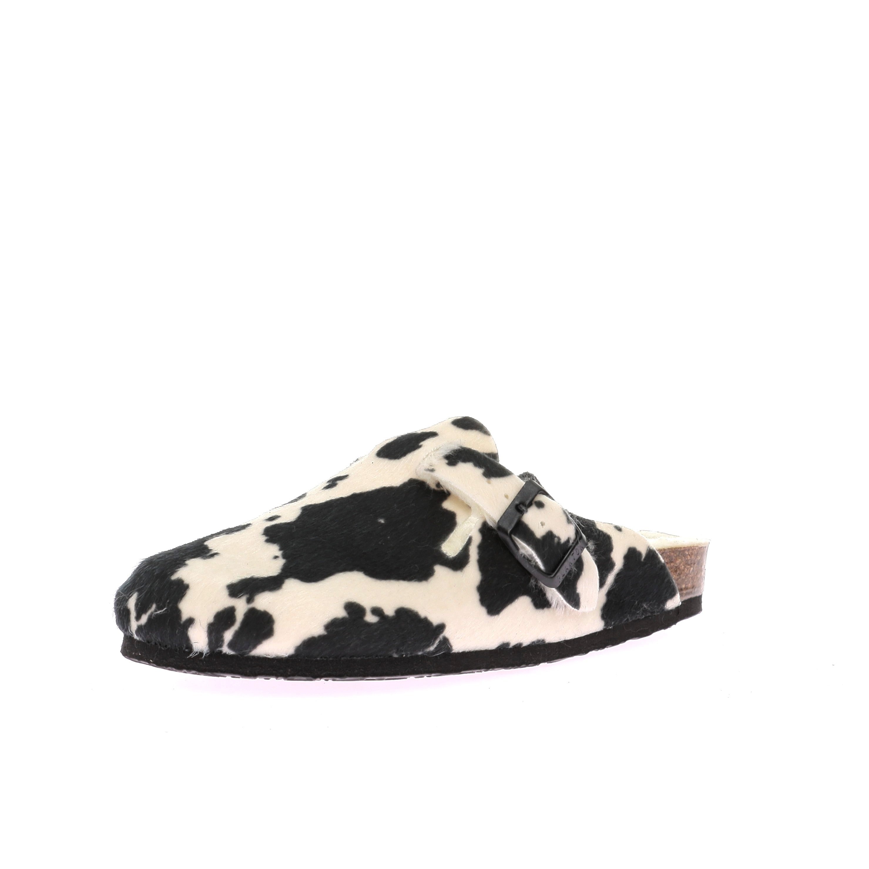 111926231698898_0001