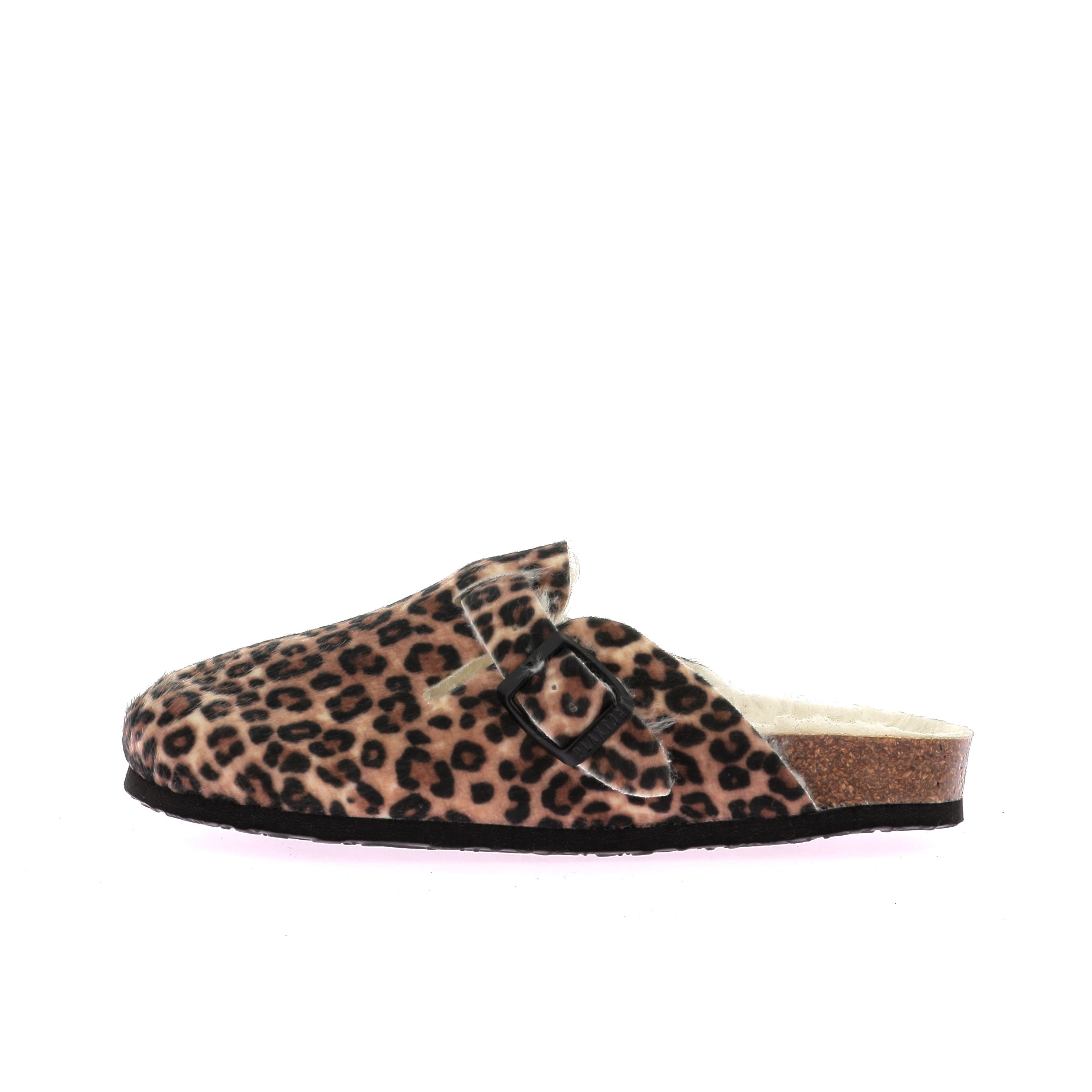 111926794532254_0000