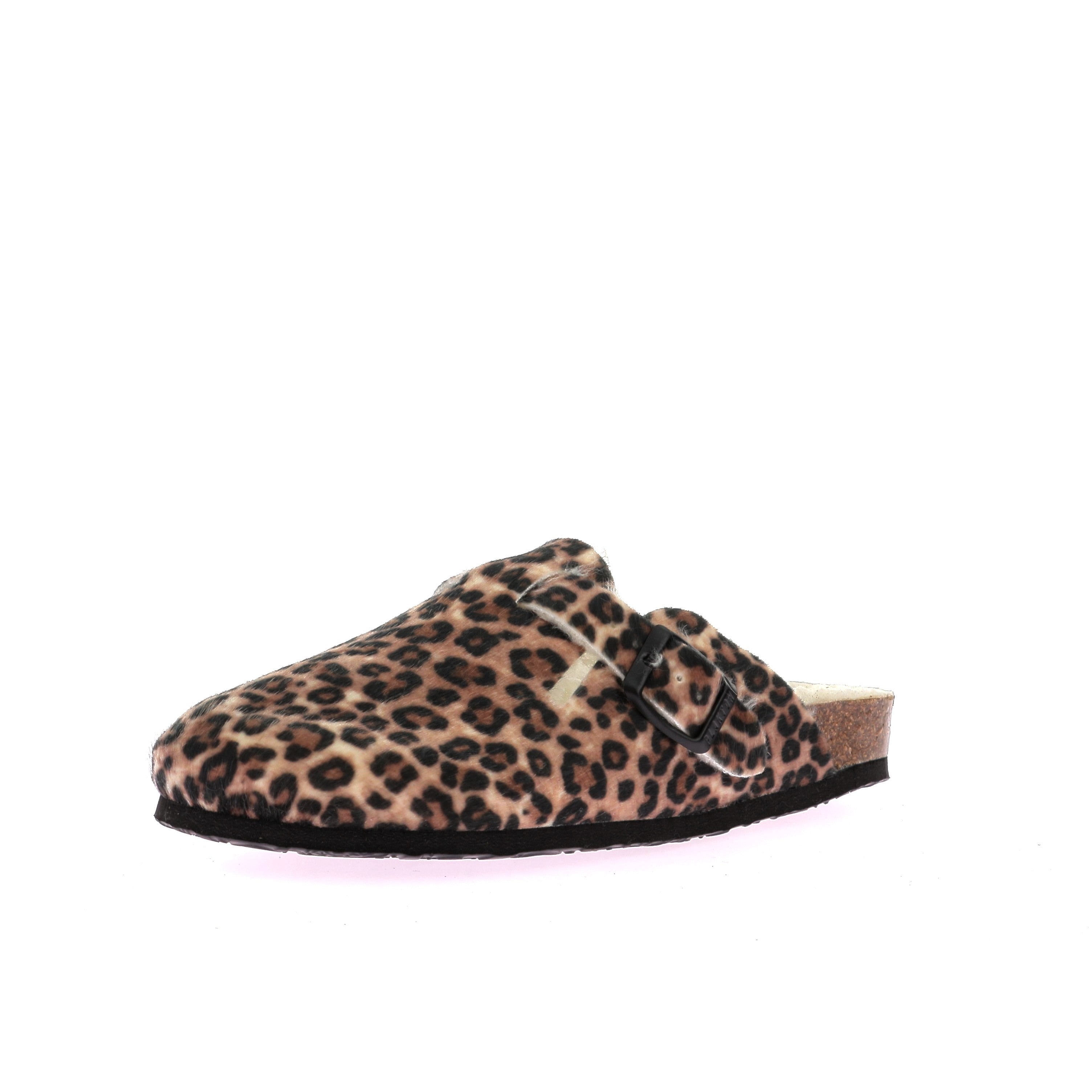 111926794532254_0001