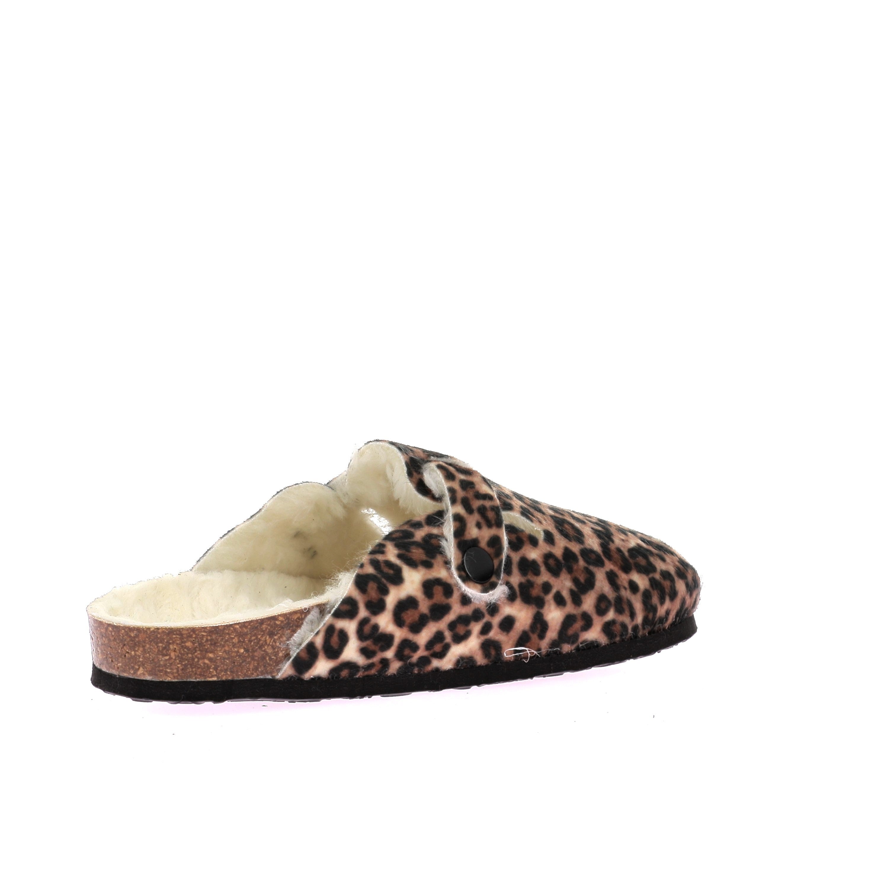 111926794532254_0003