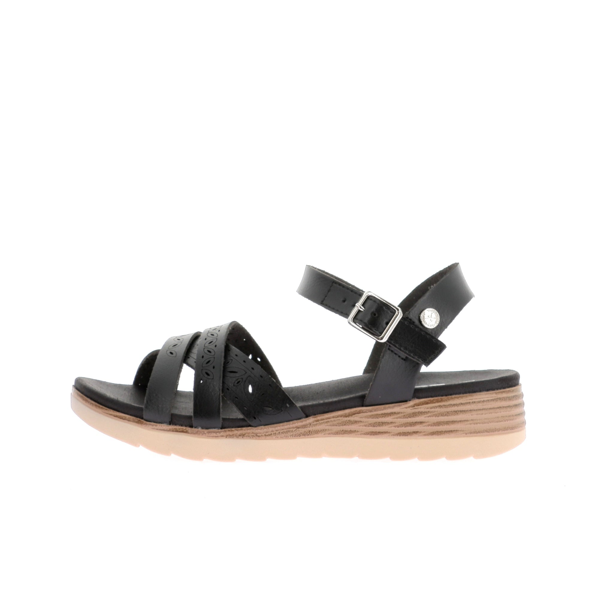 112316569245649_0000