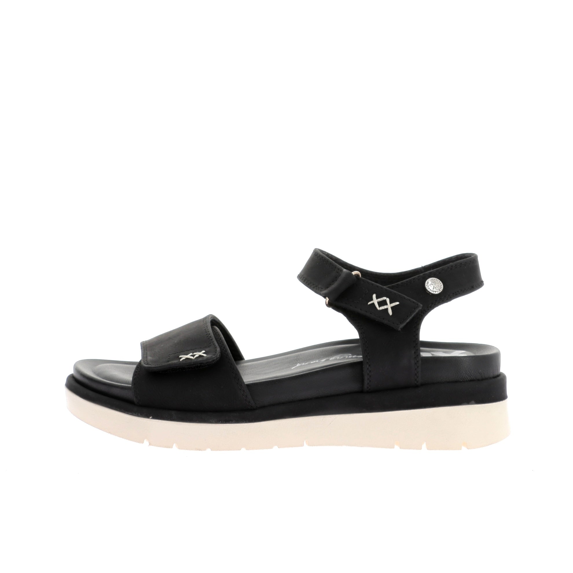 112317569245649_0000