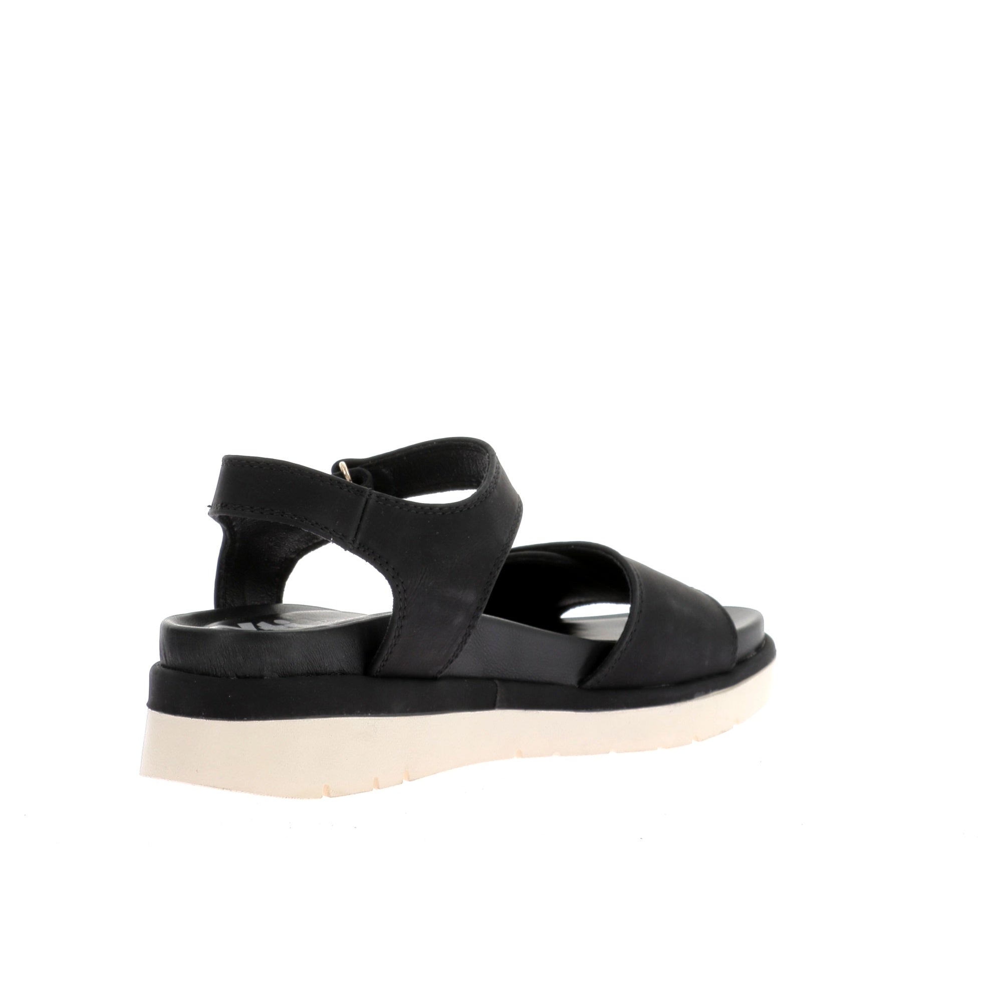 112317569245649_0003