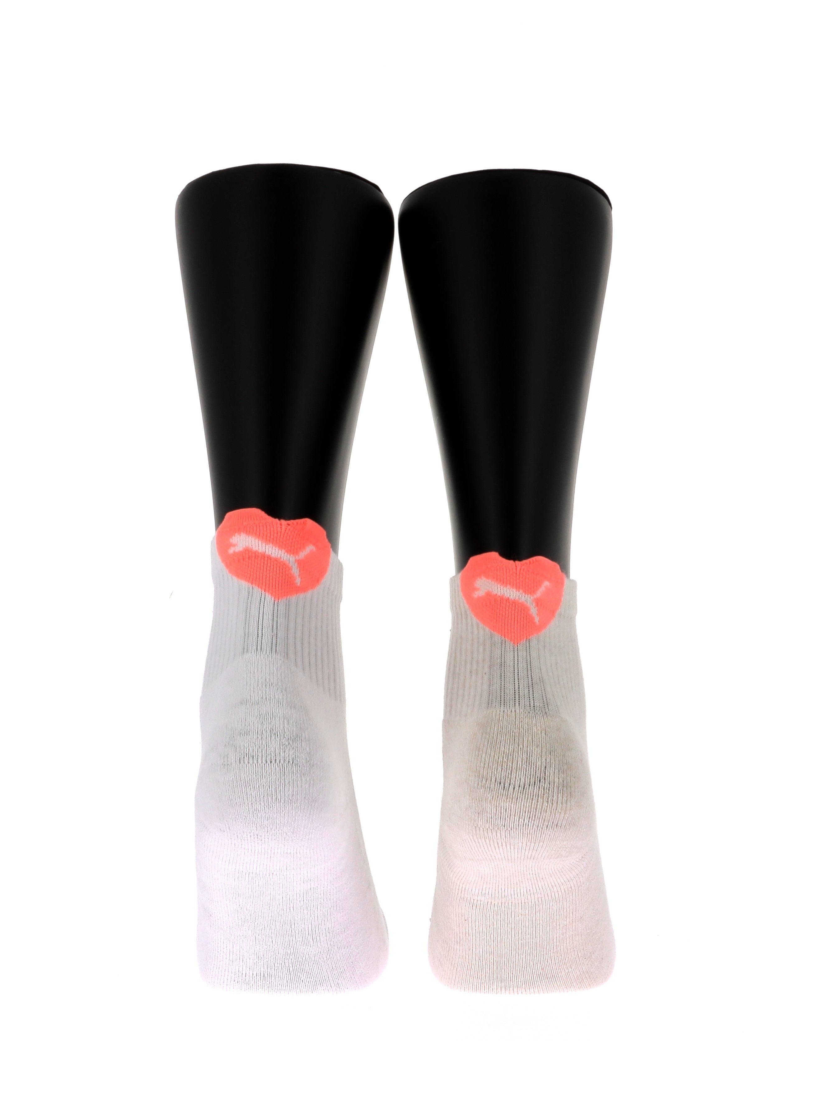 112725523684366_0001