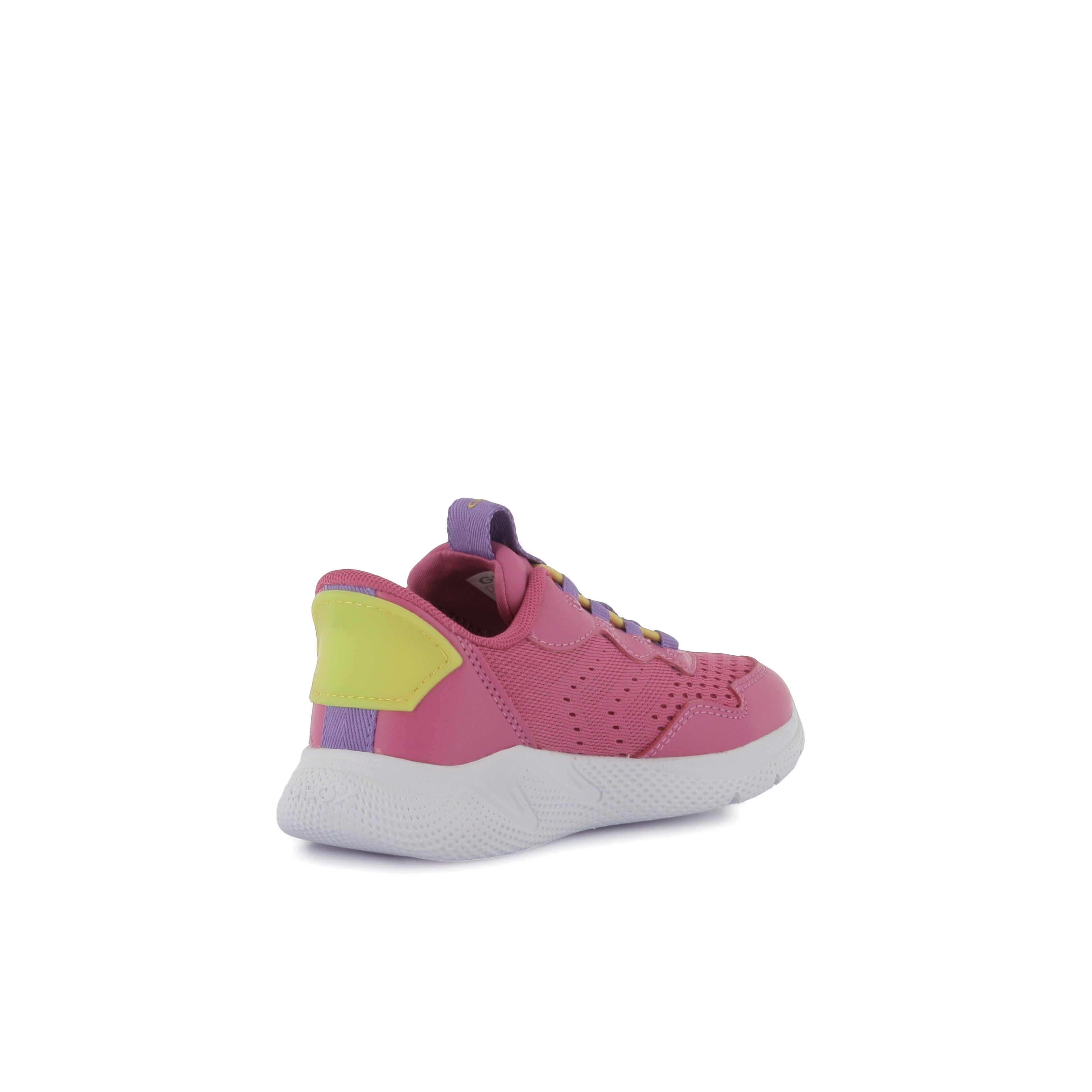 113982282917232_0003