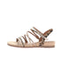 Léopard 