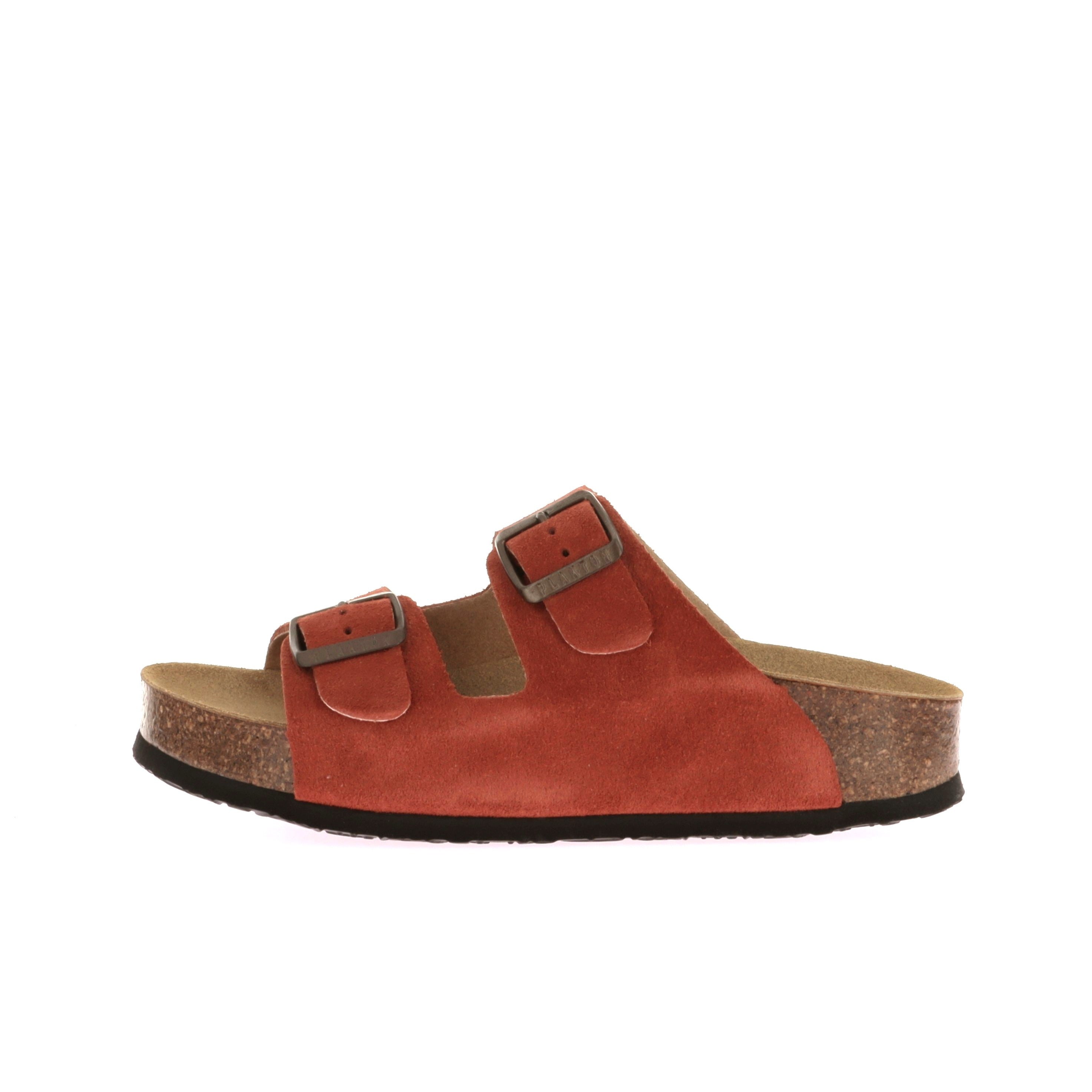 115411570813038_0000