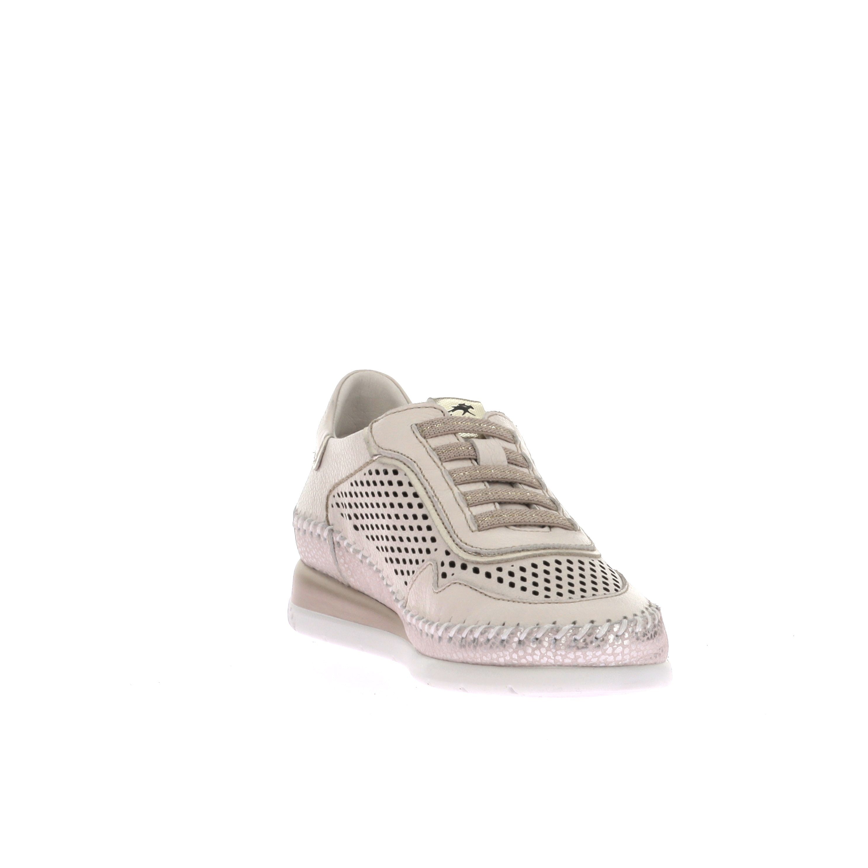 115764795012996_0002